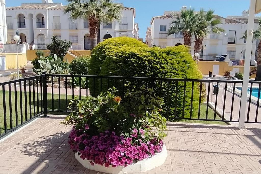 Villamartin Golf Lovers Home سان ميجيل دي ساليناس المظهر الخارجي الصورة